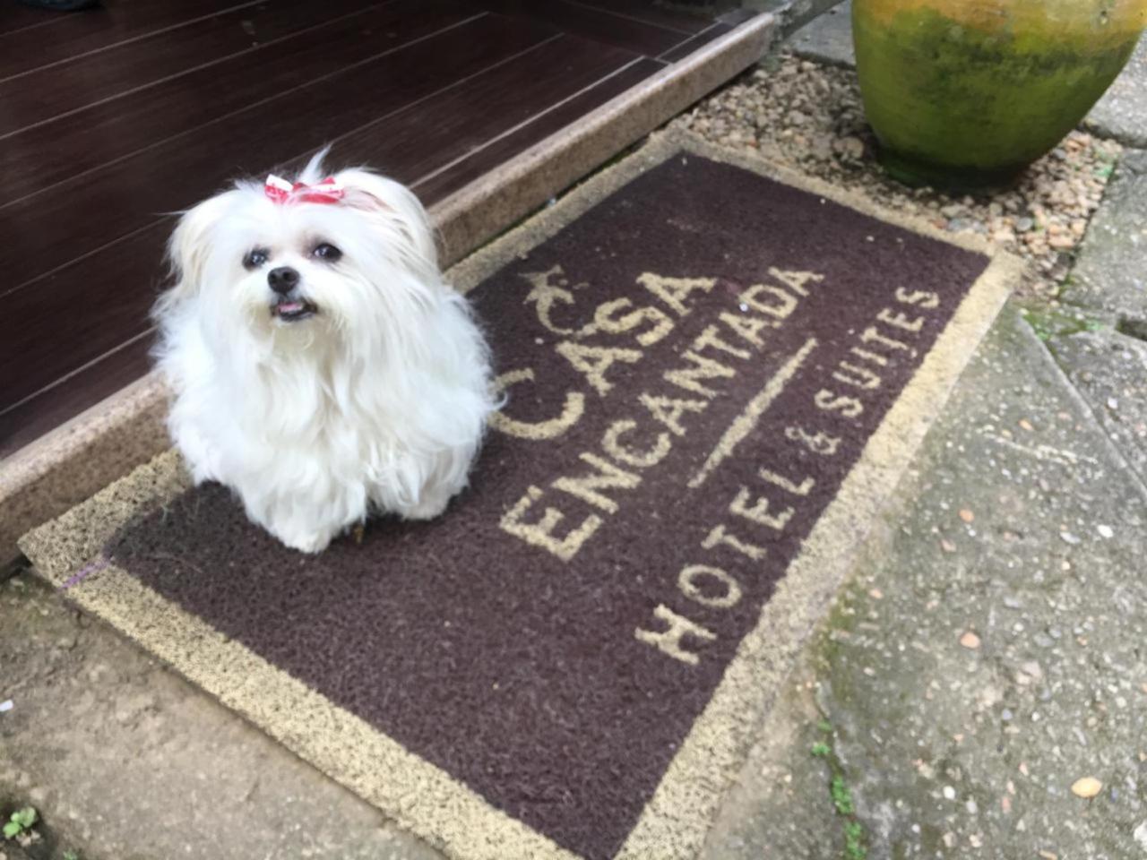 Hotel Casa Encantada Penedo  Zewnętrze zdjęcie